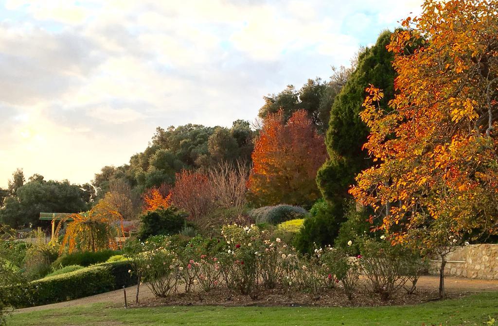 The Garden Cottage At The Olives Yankalilla エクステリア 写真